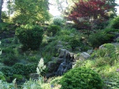 DSC08201.JPG